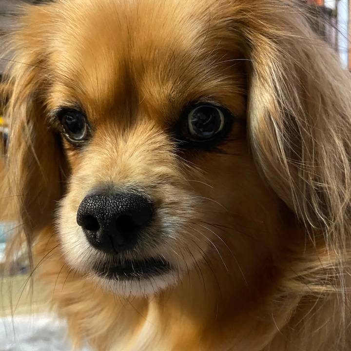 08cdd9be 220c 48bd ad4a ace54290a05d 1614808031203