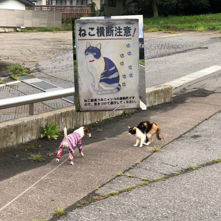 08cdf277 68e7 4c54 b018 82833171d532 1568247066438