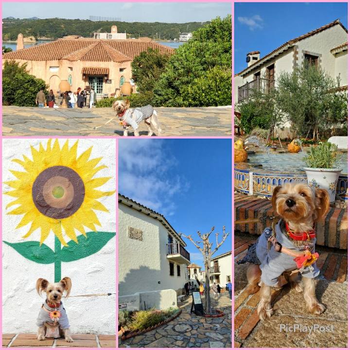 08ce1783 37df 442f b511 5f3219a8cd1f 1606098657217