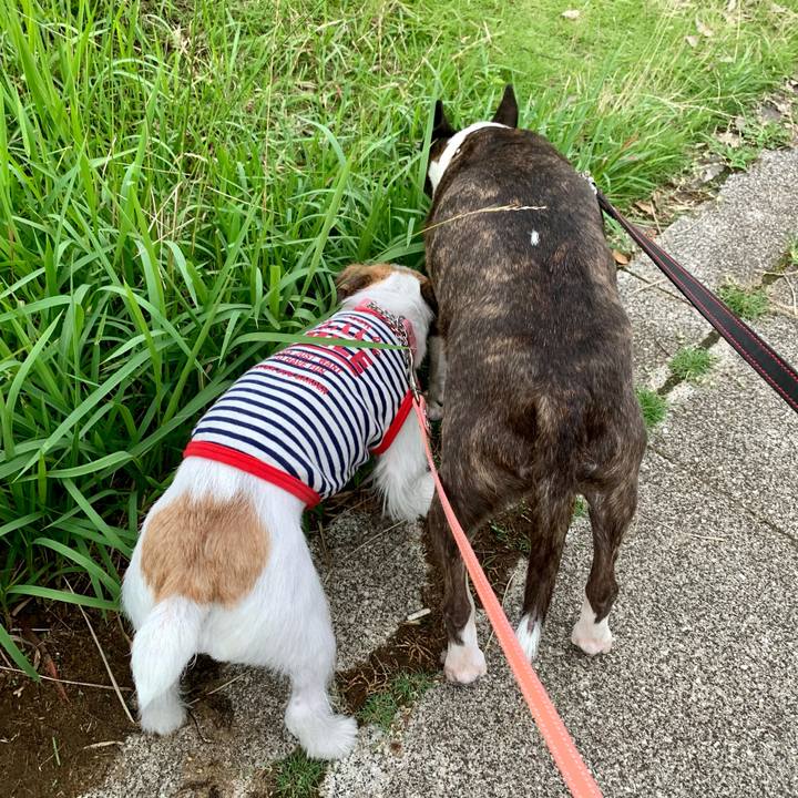 08ce3295 9082 4cce bae5 3d603e58434c 1625572855406