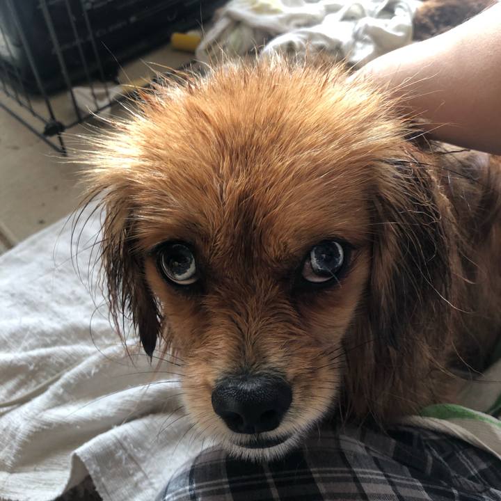 08ce3308 d019 4a46 ae21 9df53eda6dfc 1546222189859