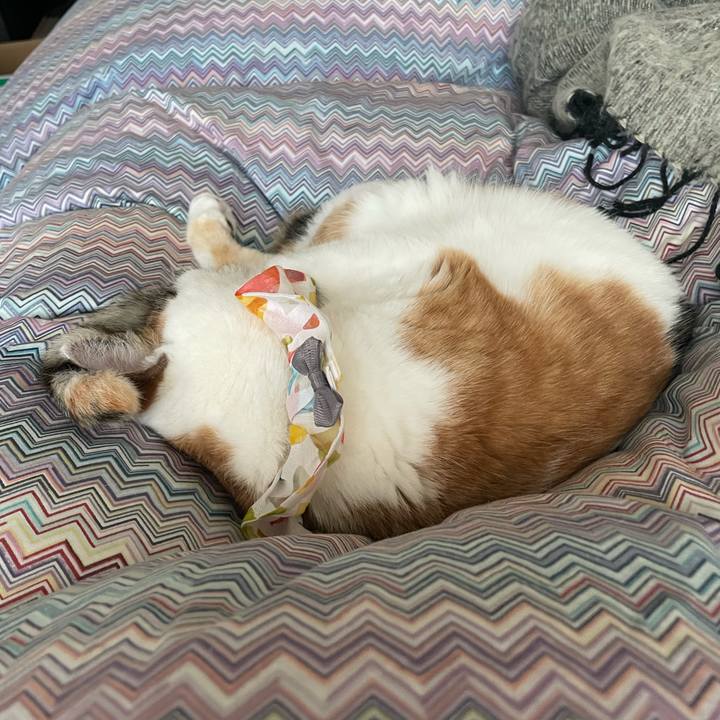 08ce469a 32cd 4d74 b3d7 f0b401dea7c0 1768692749207