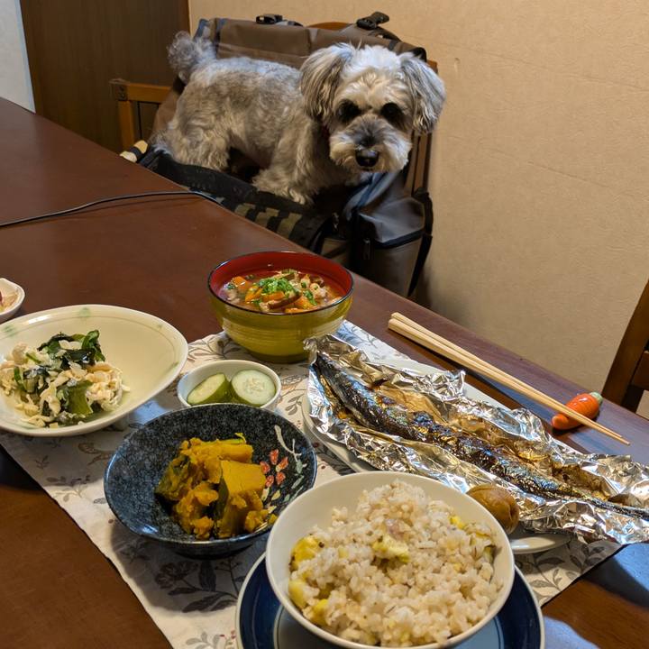 08cea928 4f18 4cf4 86ba 0b08e5973a97 1760970203992