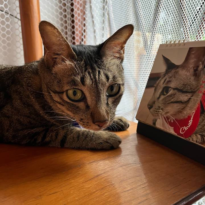 08ceab3e 5940 4b40 9097 66e258d214de 1764550255484