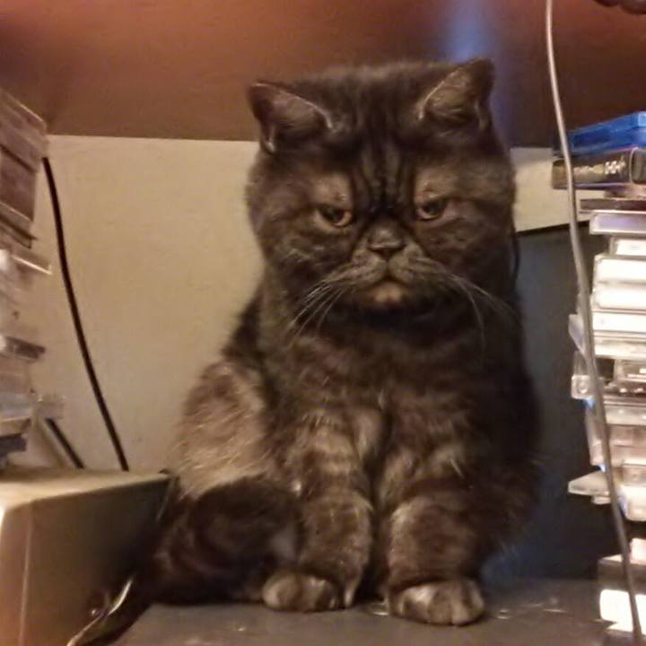 08ceca40 0b02 4e31 952c c09b0e0ba5f9 1584228097964