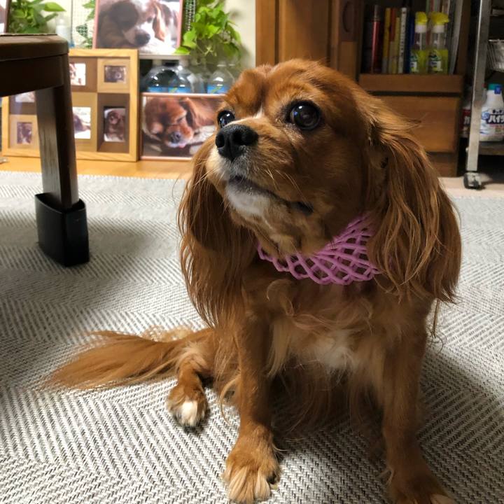 08cedfb3 a960 4fd7 a8aa 4bdebb3460e4 1600469147578