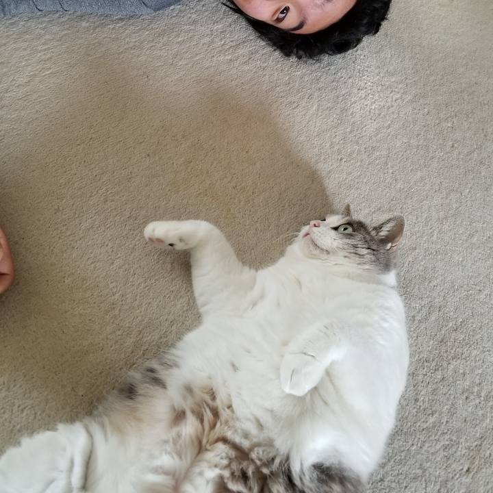 08cef623 85ec 4026 9699 754af71bc4be 1659539779026