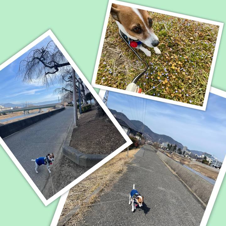 08cf2101 bb62 413d af32 70828f3f72dc 1740812285900