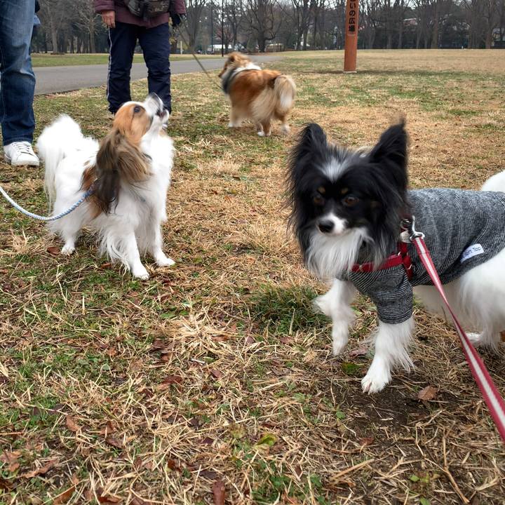 08cf27b4 26c8 4f31 806b 184688e883ba 1576978132700