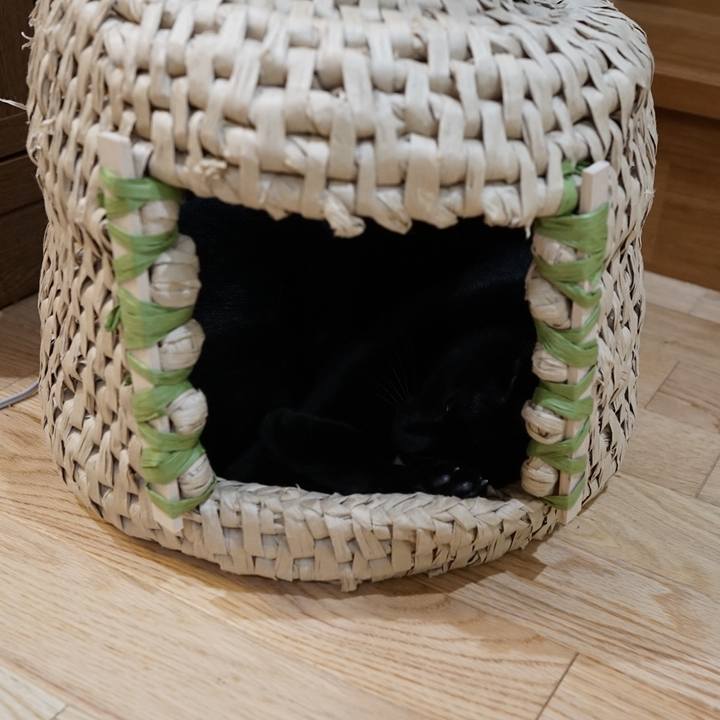 08cf2962 cecf 4569 9971 19a6c3e15aa2 1561297408716