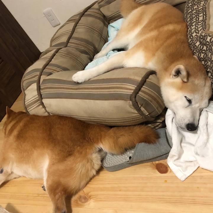 08cf564a 0175 45b1 be29 cea678db4e67 1536158207586