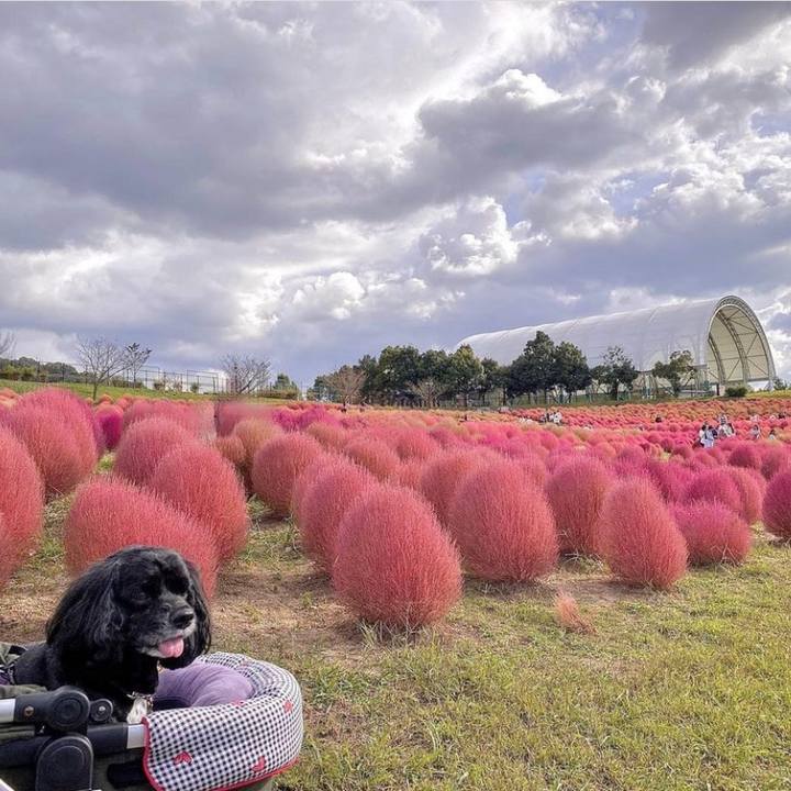 08cf5721 7c88 45e2 8deb 961d288a19e5 1697372687087