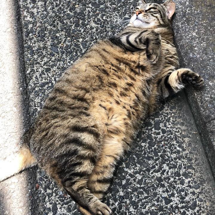 08cf6aaf e85c 4db3 a07d c6cc07249da2 1528981957846