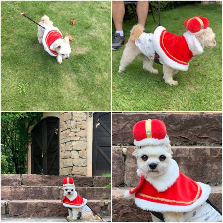 08cfa65e 4db4 4633 8150 cb1a707c5508 1566788614084