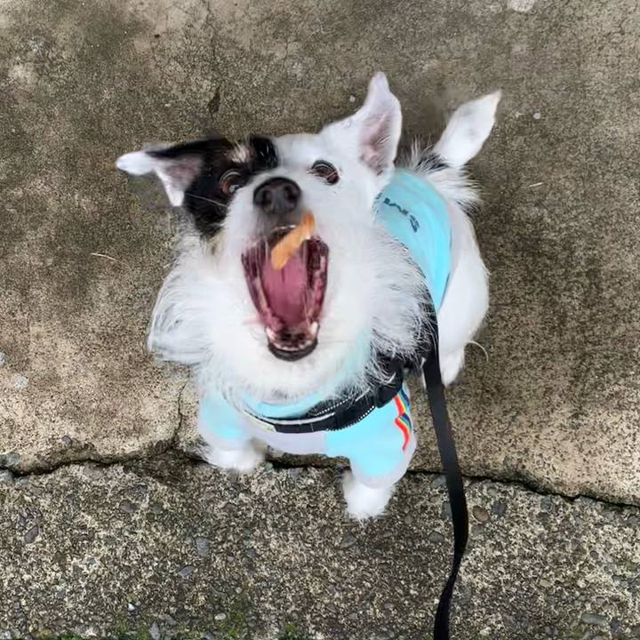 08cfaae9 a285 4d5a ad08 85b3ac69e99c 1712364994328