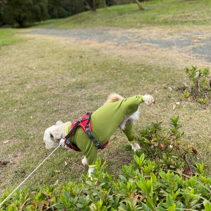 08cfb410 1db8 4491 884b 74136fd1c0dc 1606630010552