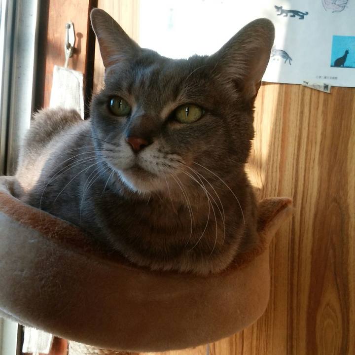 08d00539 95ed 4f20 8210 d77804313baa 1522535223911