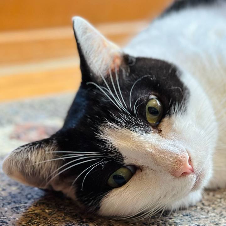 08d01d47 daba 4342 822c b1f2968ee3d1 1722644736996