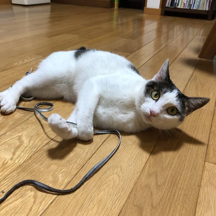 08d02e11 263d 4925 8930 3896b5f5a23c 1627742592504