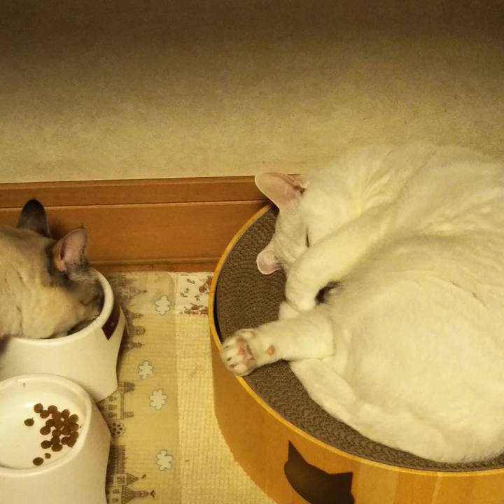 08d02efe 4434 4aef 9bd4 fa5e560182ff 1576328801520