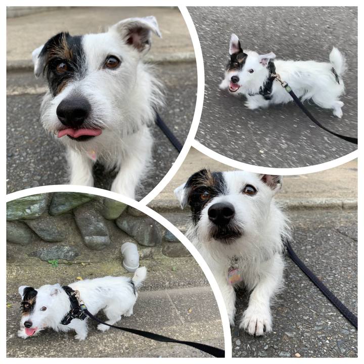 08d02fba 3477 4be4 b18a 8e28111d28ba 1653898267850