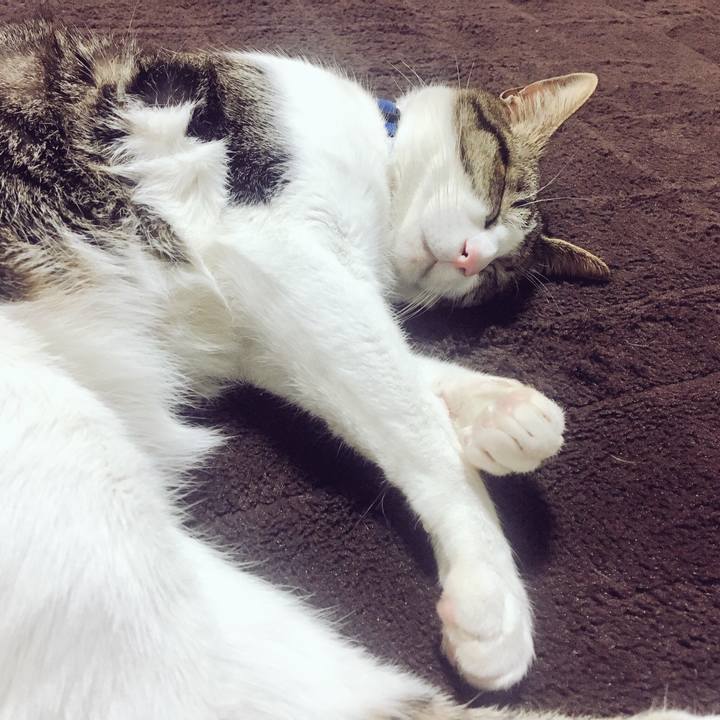 08d03569 25ce 4059 97a9 fa294cf670bb 1517404624024