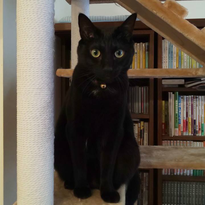 08d03fe9 c6bb 499b b3a9 cc17215aa830 1606617128387