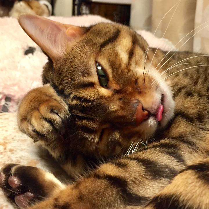 08d05b49 befe 4120 b978 43da6ce24649 1524179676526