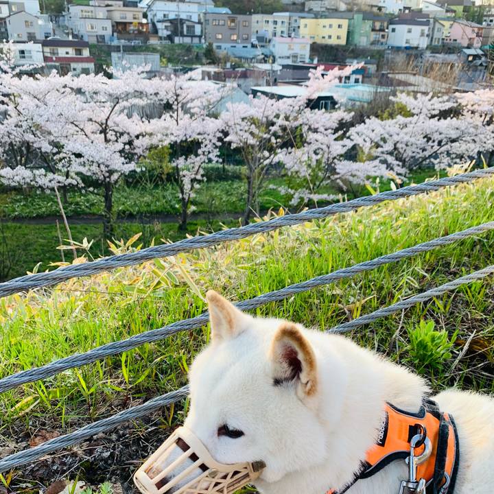 08d06717 7cdf 4dc5 8f24 1fb5b8461875 1620249823859