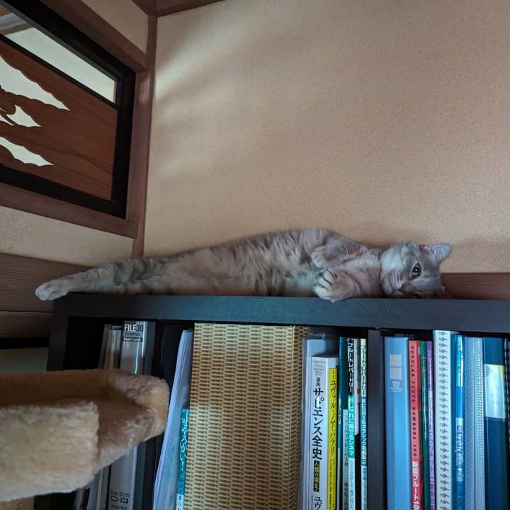 08d09855 1a6e 483a be2c 19a55ce10d6f 1718535174200