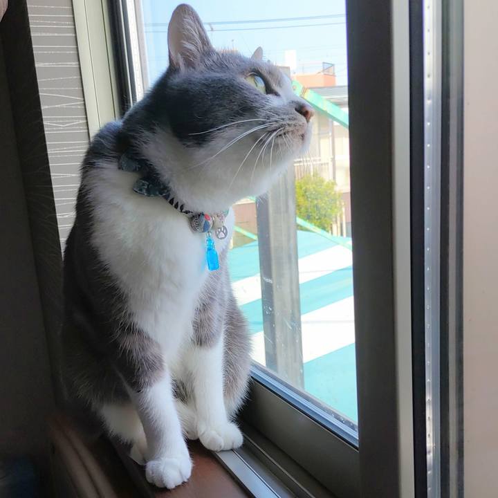 08d0f5e8 a966 4c18 84cc 7721e5c9e569 1681166053132