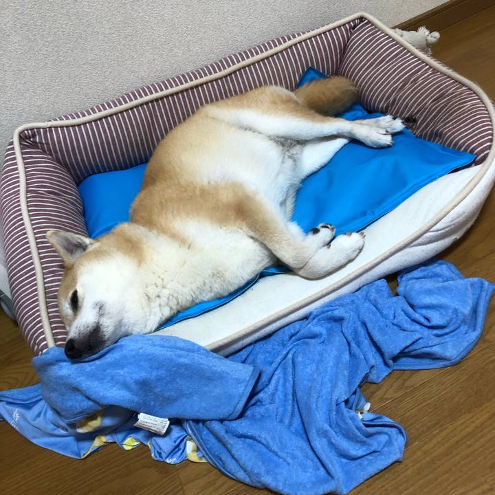 08d118ed 60f5 460a 94bb 120a112f17d7 1593756495413