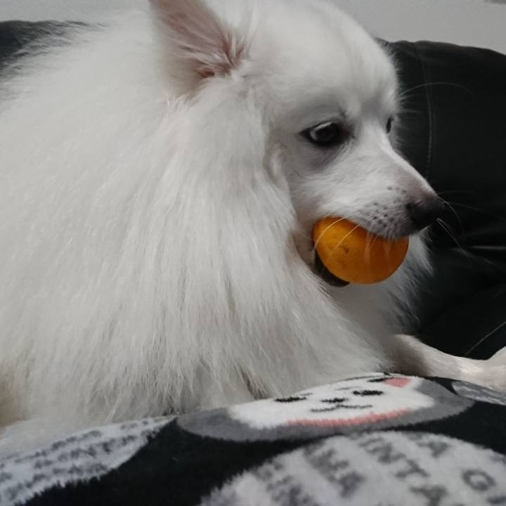 08d12ea6 4a83 40e3 9e75 ad826724977e 1573182641879