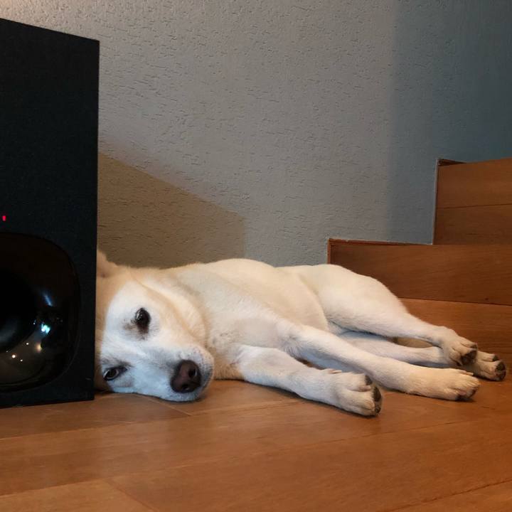 08d15cec d003 4d34 bd05 1091b8067e86 1590586751300