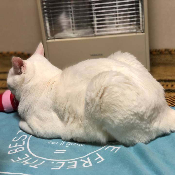 08d18459 f379 4fa3 abeb 2956fac20d6e 1620135601210