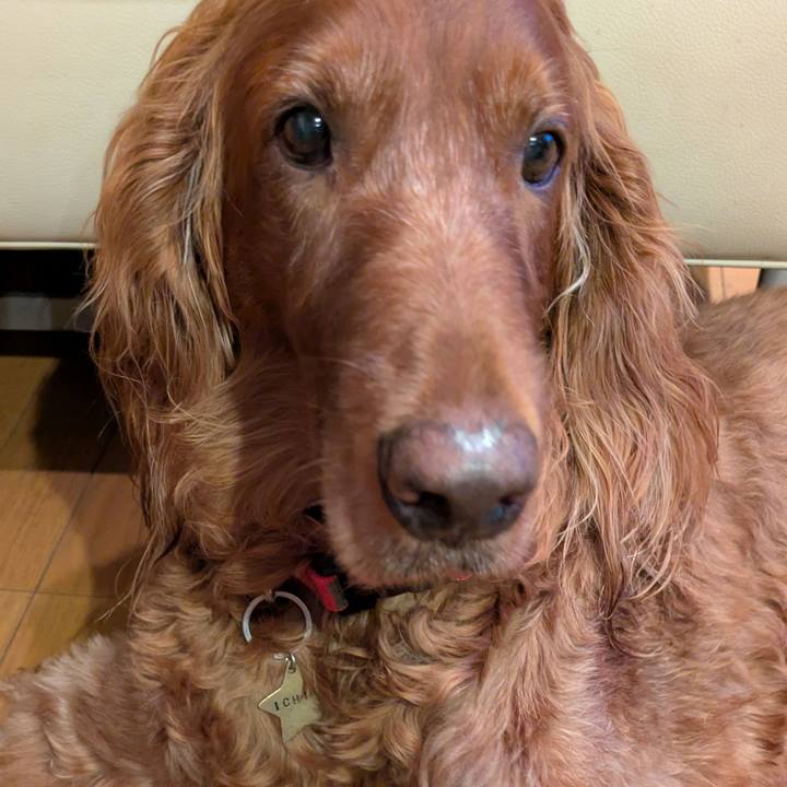 08d18c2d 020d 4b3c 8113 b3237cd53a02 1757205013854