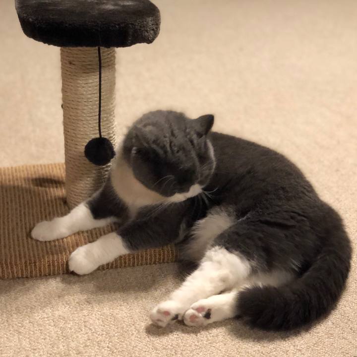 08d1c2b6 e20e 42d3 9da6 03503fc1780c 1586220368645