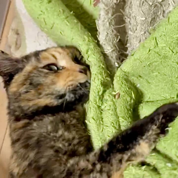 08d1c39f 5214 4dfe a7e1 644df74a43b4 1770240071770