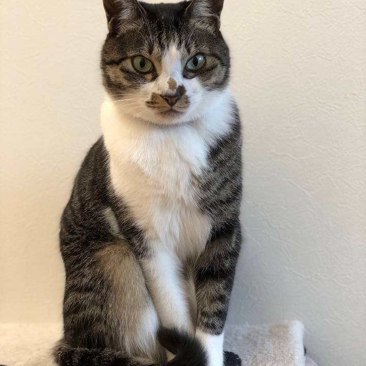 08d1cac6 bd42 49d4 be94 86bc0902501a 1515885359897