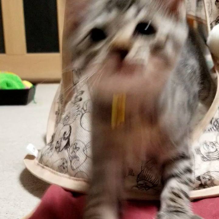 08d1e3b5 6476 454a 8863 11c65f1ba26c 1664019904277