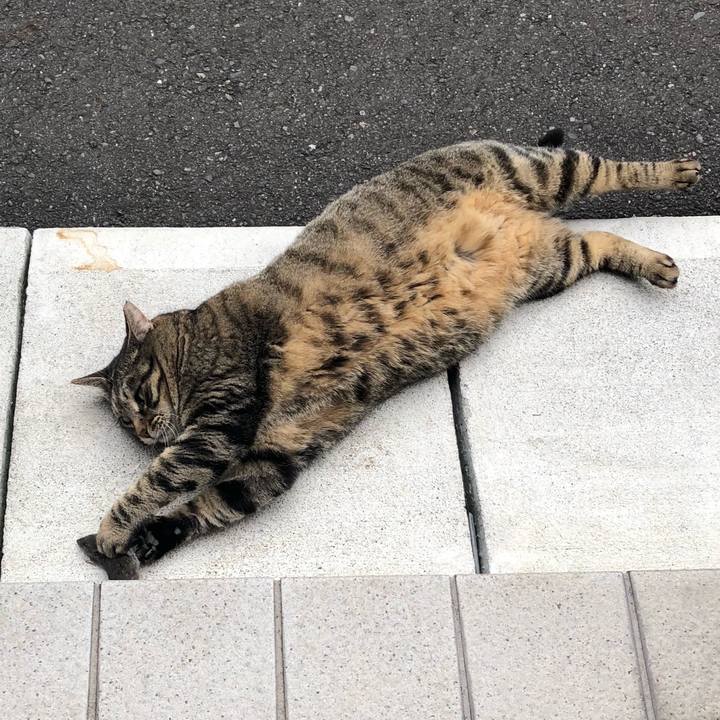 08d2300d d82e 4fae 9168 de0acc413948 1648356676853