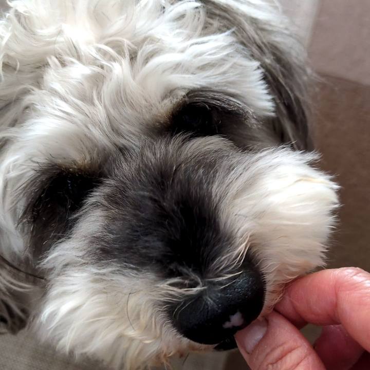 08d254d3 1895 45e6 841f 1d23fba50c03 1753771946520