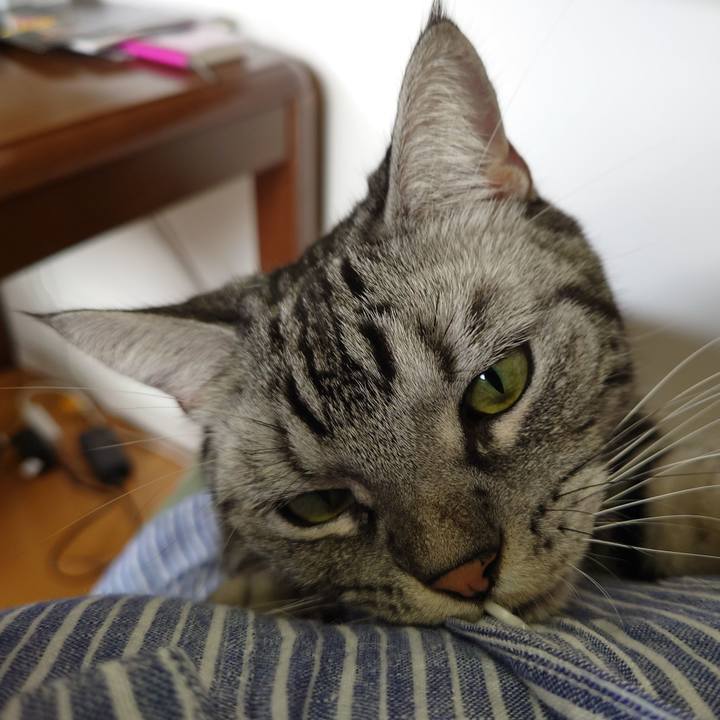 08d26527 e271 4da7 9941 a5ed6f2a296c 1615268144985