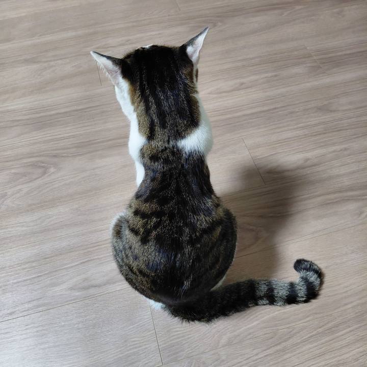 08d267b2 c0be 4179 b884 9ac62a4fd786 1774353307700