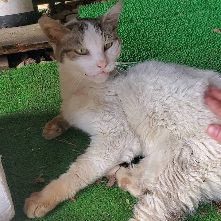 08d27f0a c91c 4457 af37 b6b6fe9c363b 1756396153968