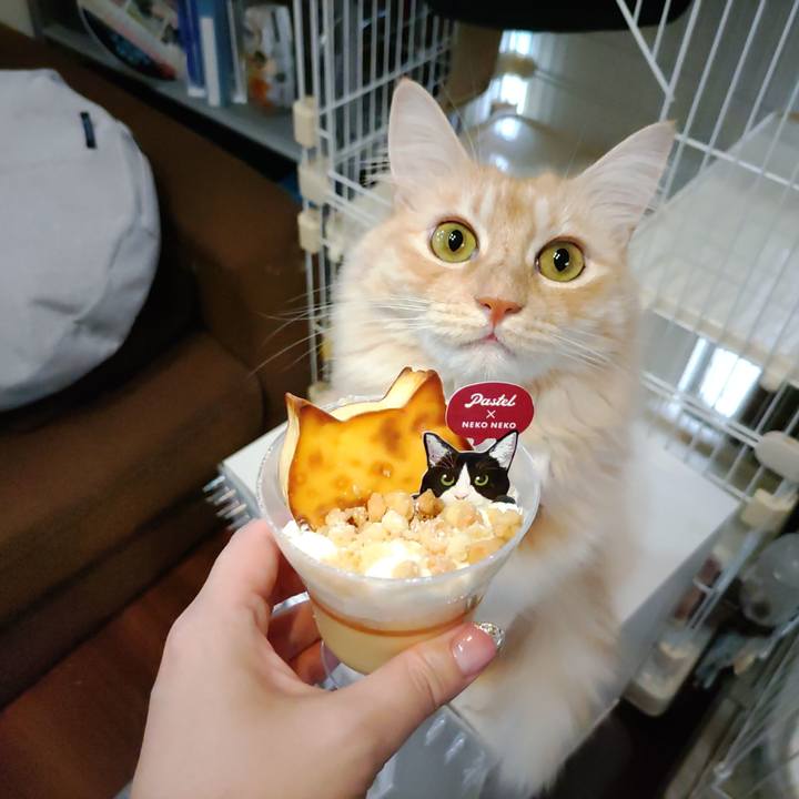 08d28ea0 b67c 453c 856f b216d4798f4c 1699097622215