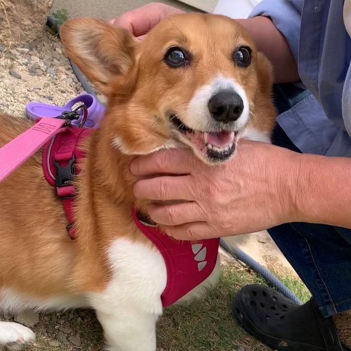 08d29fcb 43cb 4fa4 bb0b fb67f00e2a89 1682903782813