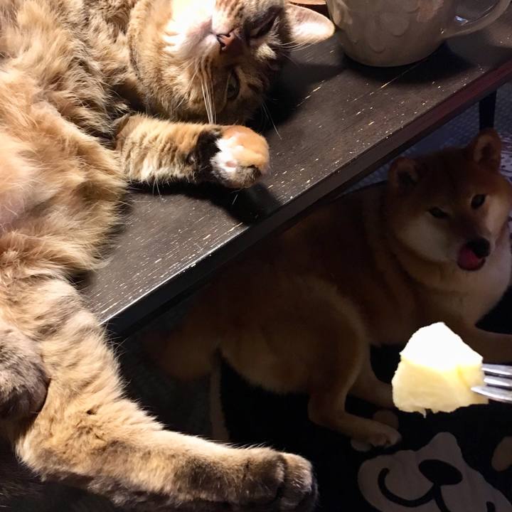 08d2a625 6bf5 46c8 bf33 eb11c84d4083 1554033850583