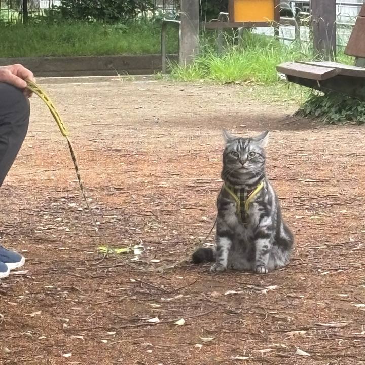 08d2bcf3 f0e9 4f31 a2b3 641264c2c1ed 1747944730854