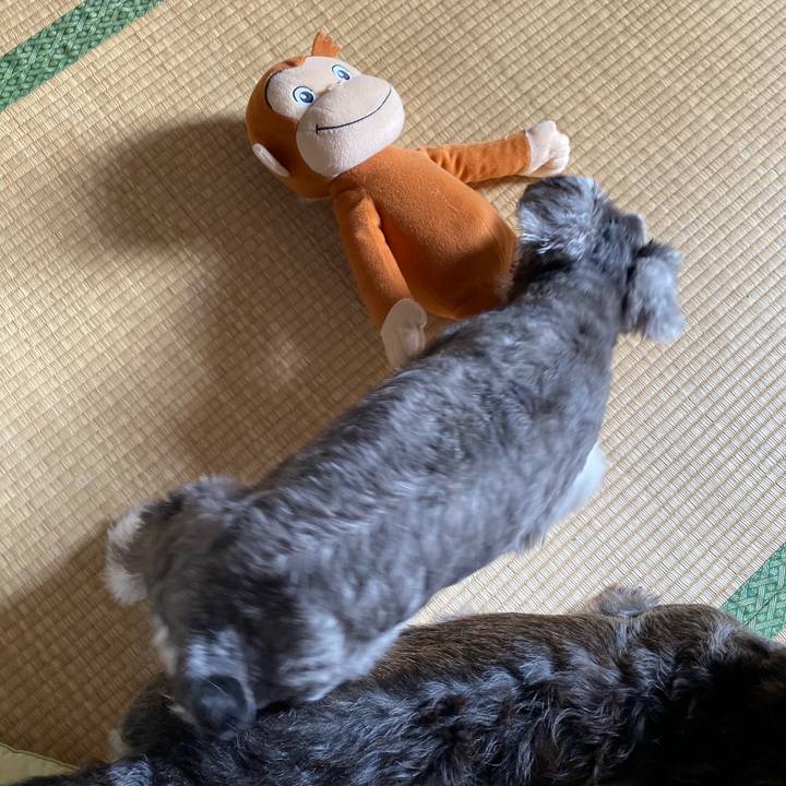 08d2fcf5 251a 4f20 acba c814db3a7175 1569725457297